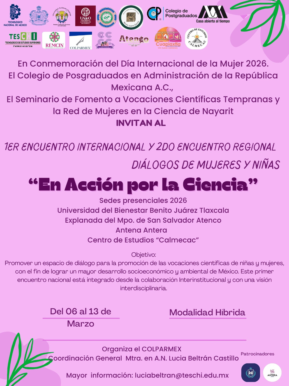 WhatsApp Image 2026-02-17 at 16.00.14